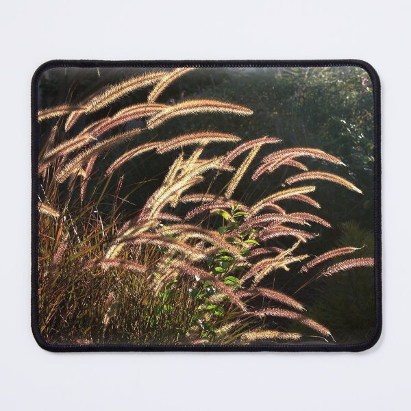 Item preview, Sunset on the grass from A Gardener's Notebook designed and sold by Douglas E. Welch Design and Photography.
