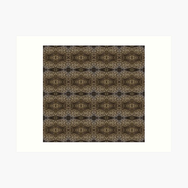 Echidna Quills Art Print
