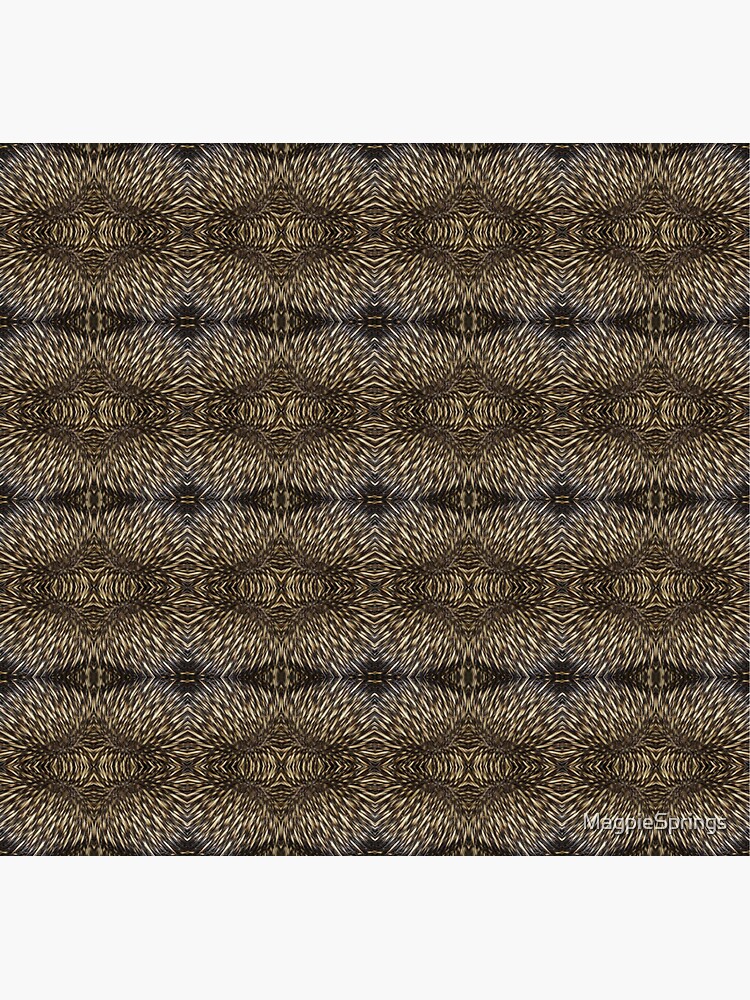 Thumbnail 3 of 3, Sticker, Echidna Quills by Adelaide Artist Avril Thomas at Magpie Springs designed and sold by MagpieSprings.