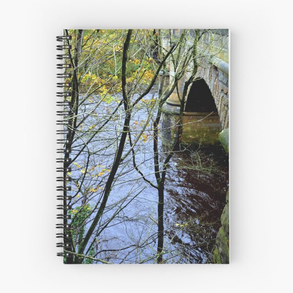 Item preview, The Old Garrion Bridge , Scotland designed and sold by William Lighterness.
