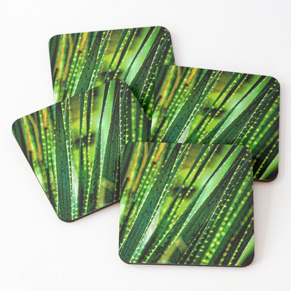 Item preview, Yucca Cactus Spines designed and sold by William E Lopez.