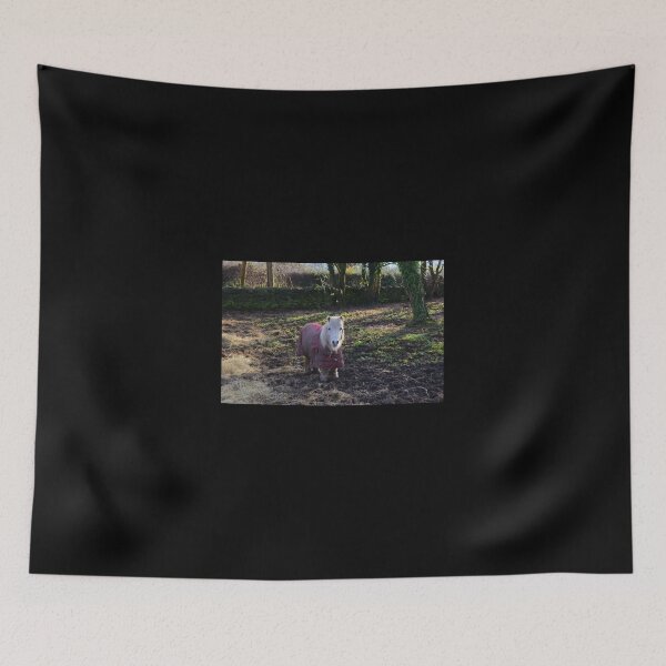 Item preview, Sweet Little Pony designed and sold by Malcolm Snook.