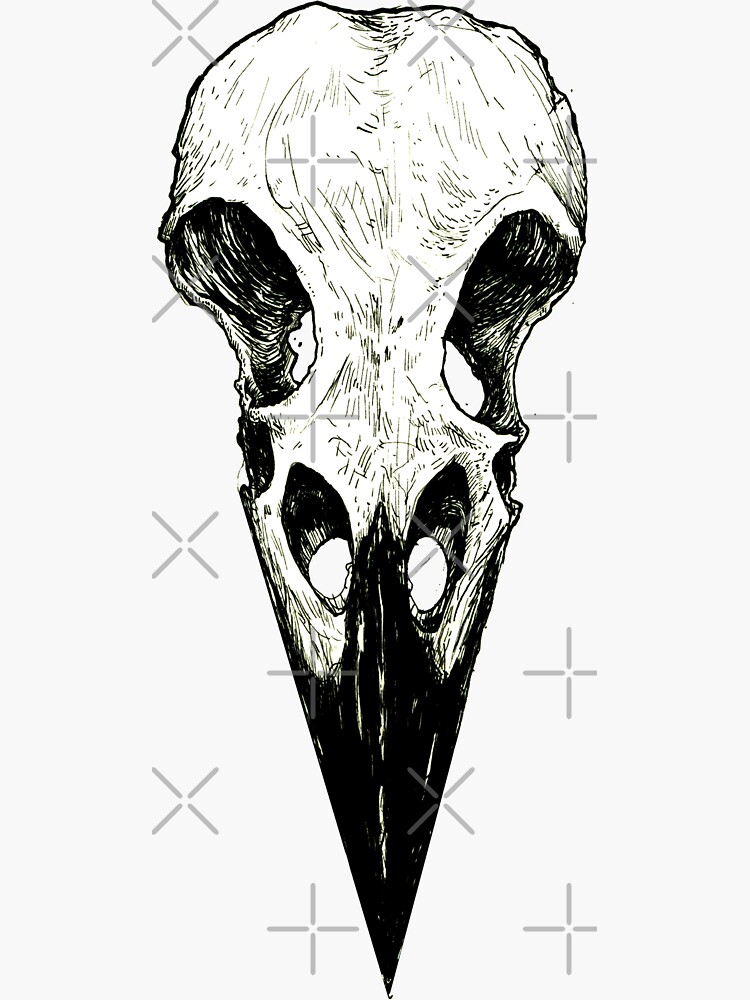 Raven Skull Sticker for Sale by WishingInkwell