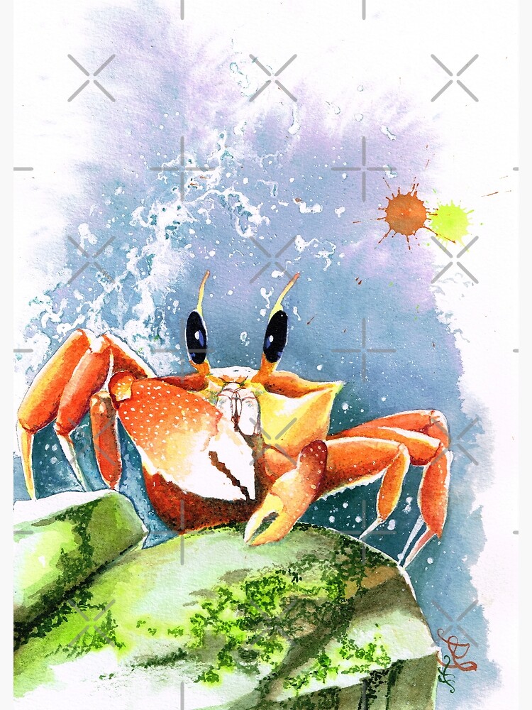 sea life crab watercolor painting wall art home decor | Poster