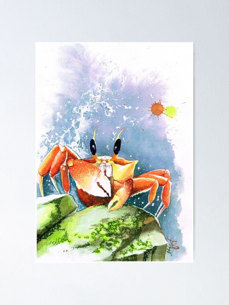 sea life crab watercolor painting wall art home decor Poster for Sale by  Sophiberry X