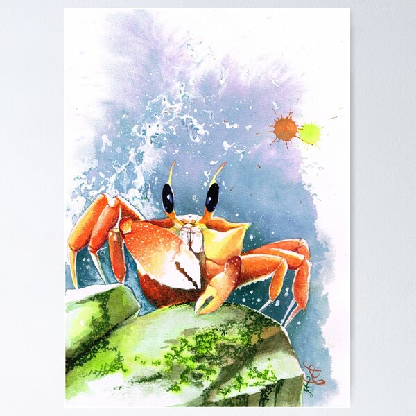 Sally Lightfoot Crab Watercolor offers Art Print Beach House Picture Seashore Painting Marine Life Artwork Shore Life Seaside Large Format unframed