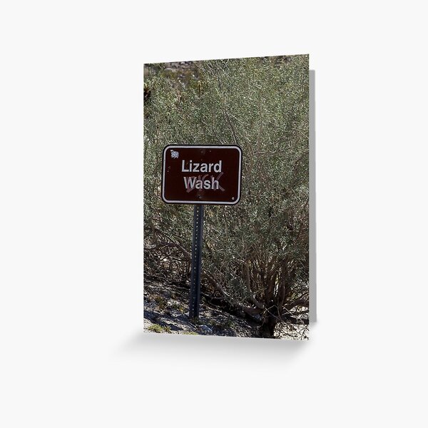 Lizard Wash Greeting Card