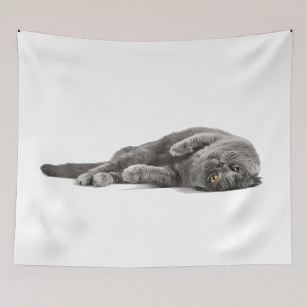 Item preview, 8 out of 10 cats  designed and sold by SA Butterfly.