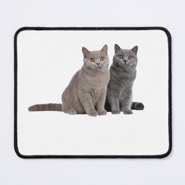 Item preview, 8 out of 10 cats designed and sold by SA Butterfly.
