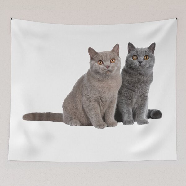 Item preview, 8 out of 10 cats  designed and sold by SA Butterfly.