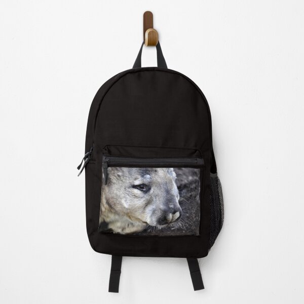 Item preview, Australian WOMBAT, CUTE LITTLE FELLA designed and sold by Barbara Jean Photo Art And Design.