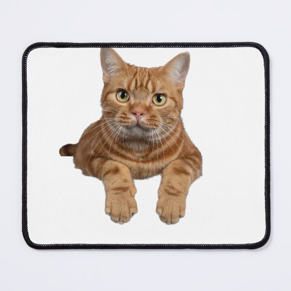 Item preview, Golden cat designed and sold by SA Butterfly.