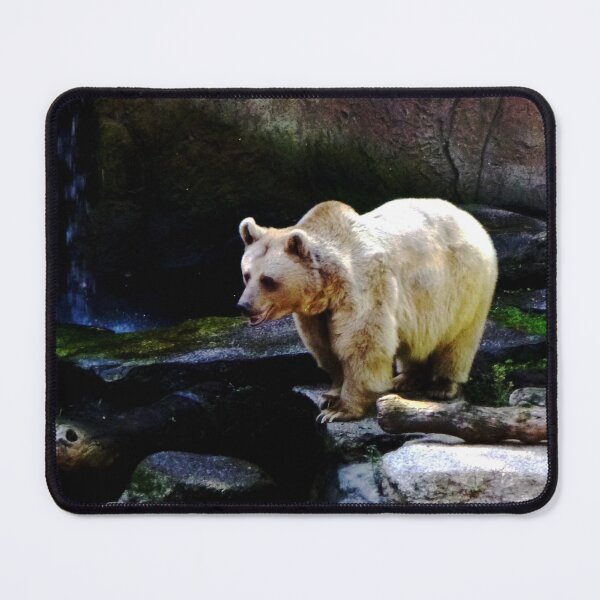 Item preview, Brown Bear designed and sold by Moonshine Paradise.