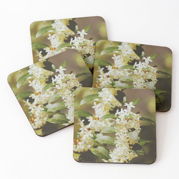 Item preview, Small Jasmine Flowers in a Garden of France | Botanical Nature Photography designed and sold by CarolinaReina.