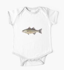 Striped Bass (Morone saxatilis) One Piece - Short Sleeve