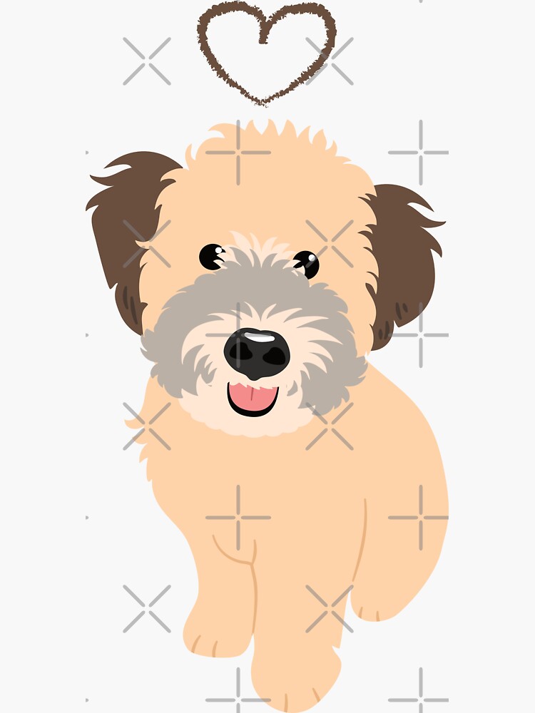 Love Wheaten Whoodle Wheaten Terrier Poodle Mix Puppy