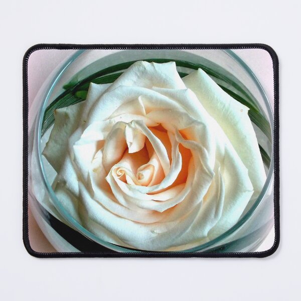 Item preview, White Rose in Glass designed and sold by angel1.