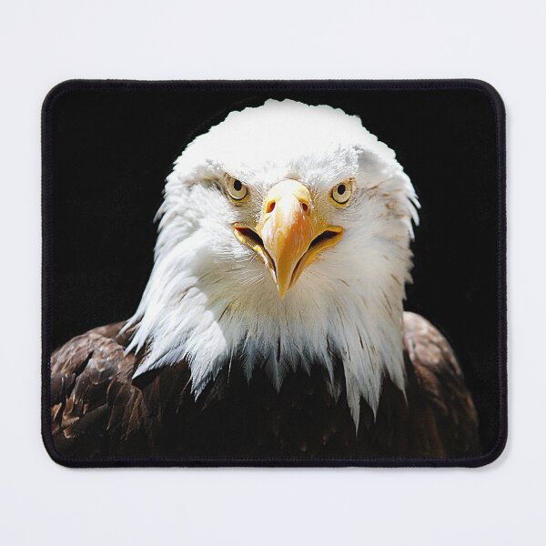 Item preview, Bald Eagle designed and sold by Denis Charmot.