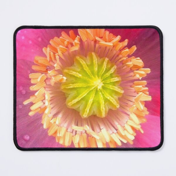 Item preview, Pink Poppy Closeup designed and sold by angel1.