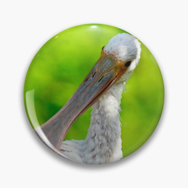 Item preview, Pretty Preening Spoonbill designed and sold by richardbryce.