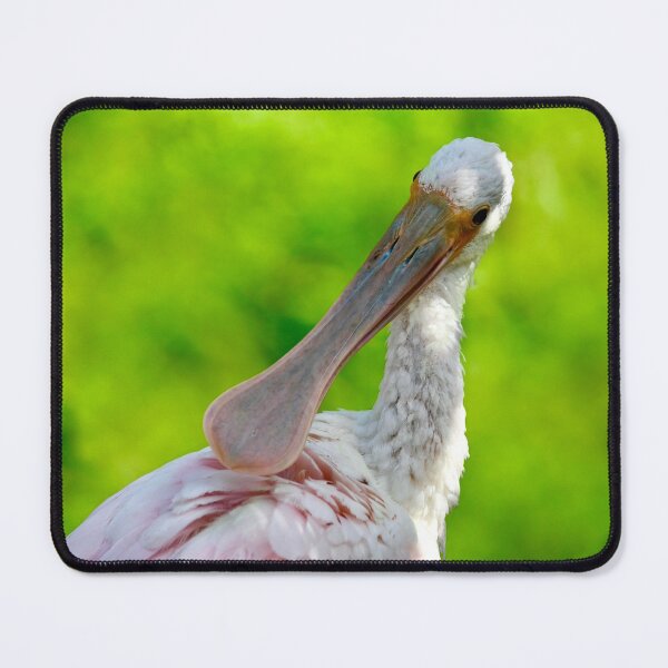 Item preview, Pretty Preening Spoonbill designed and sold by richardbryce.