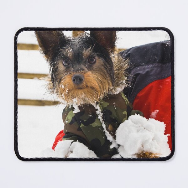 Item preview, Snow Gloves designed and sold by heidipics.