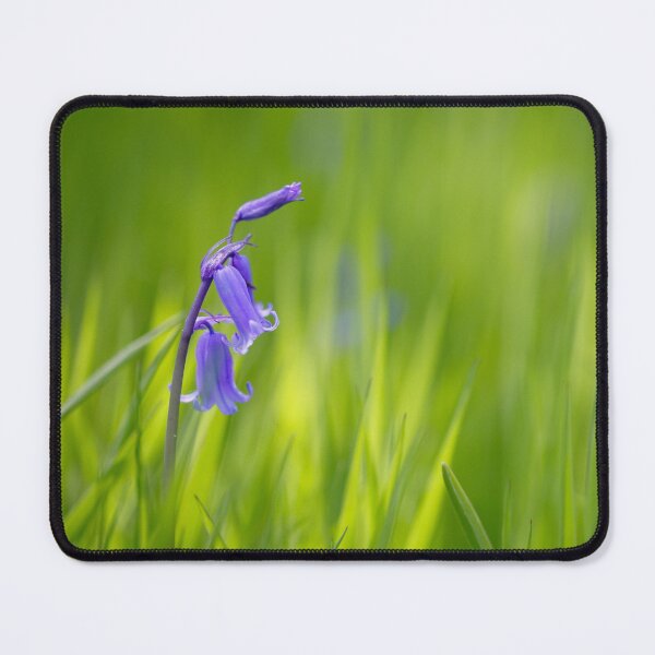 Item preview, Bluebell Joy designed and sold by heidipics.