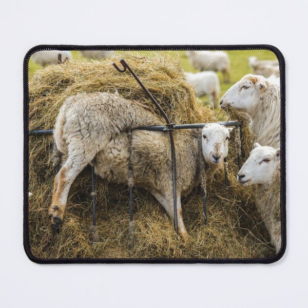 Item preview, In a Bit of a Muddle designed and sold by heidipics.