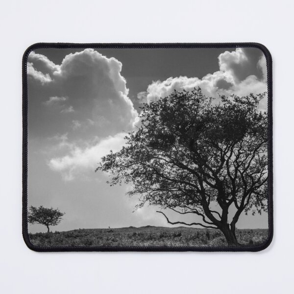 Item preview, Two Trees designed and sold by heidipics.