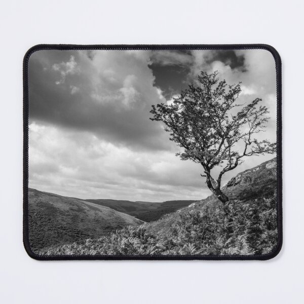 Item preview, Lone Tree, Mid Wales designed and sold by heidipics.