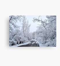 Wonderland III Canvas Print