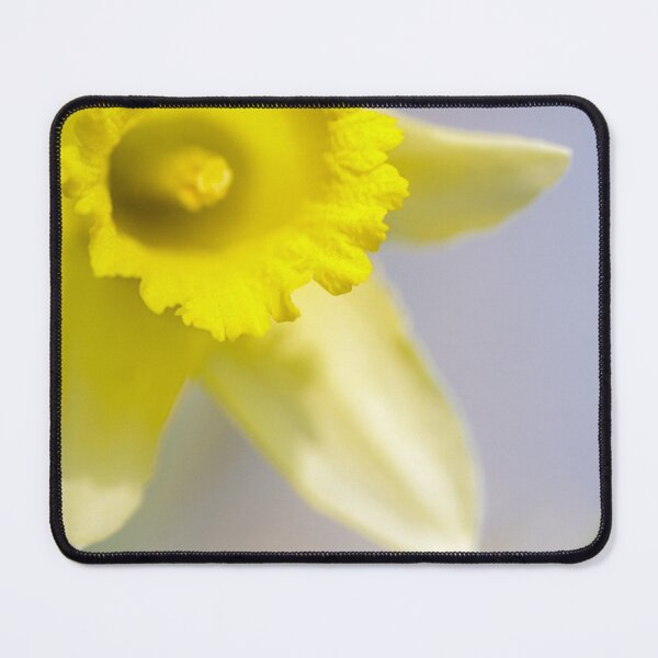 Item preview, Daffodil designed and sold by heidipics.