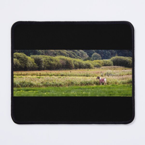 Item preview, Horse in Field designed and sold by heidipics.