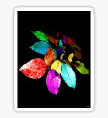 Beech Leaves Sticker