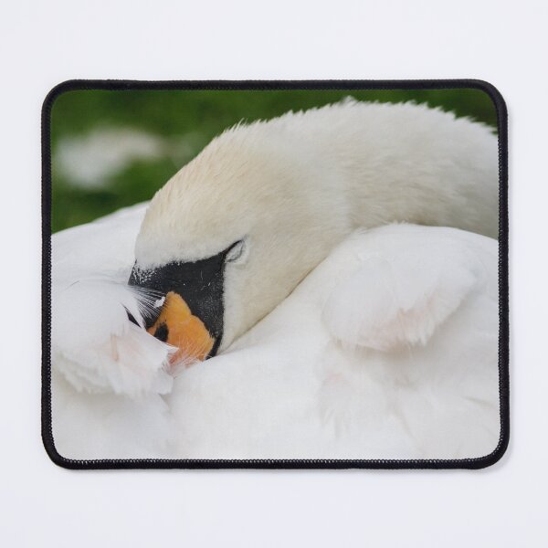 Item preview, Sleeping Swan designed and sold by heidipics.