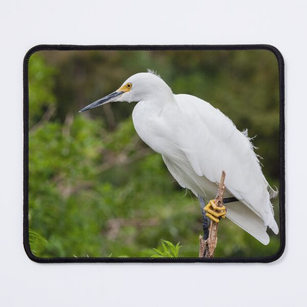 Item preview, Snowy Egret designed and sold by heidipics.