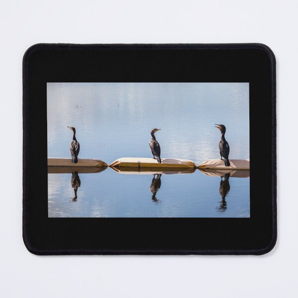 Item preview, Threes a Crowd, Cormorants designed and sold by heidipics.