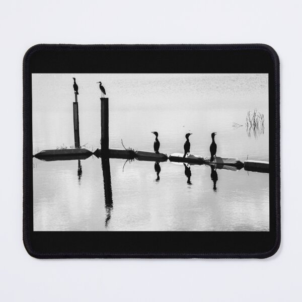Item preview, Bird Reflections designed and sold by heidipics.
