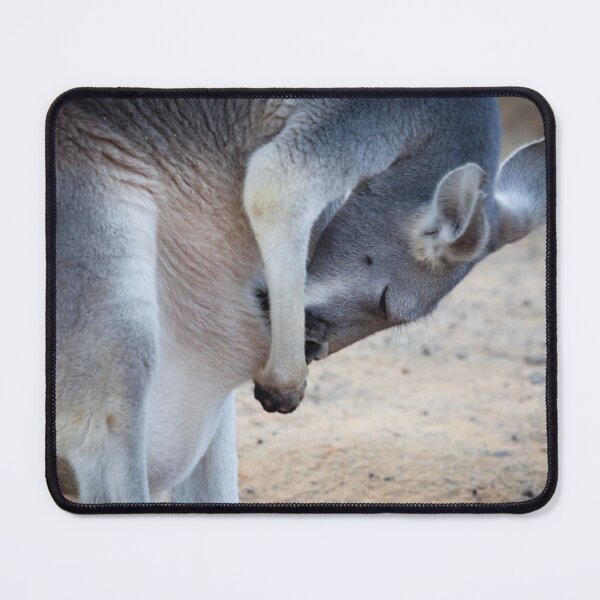 Item preview, Kangaroo designed and sold by heidipics.