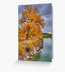 Autumn at Norms Island Greeting Card