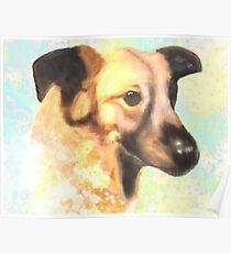 Water Color Dog Portrait Poster