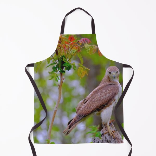 Item preview, Juvenile Red-tailed Falcon designed and sold by Maddie4Real.