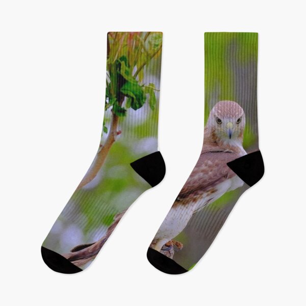 Item preview, Juvenile Red-tailed Falcon designed and sold by Maddie4Real.