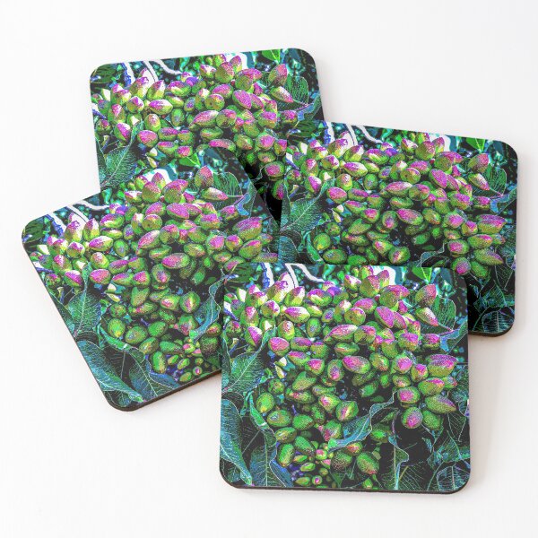 Item preview, Heart of the Desert Pistachios Ripening on the Tree designed and sold by William E Lopez.