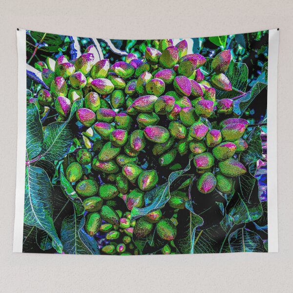 Item preview, Heart of the Desert Pistachios Ripening on the Tree designed and sold by William E Lopez.