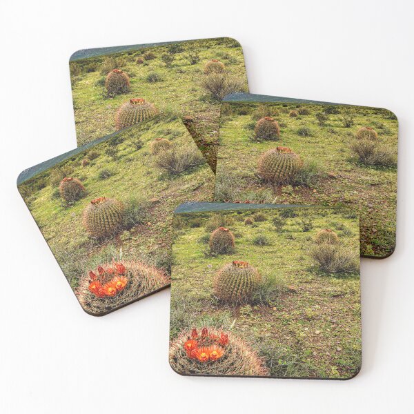 Item preview, Barrel Cactus Growing Along the Organ Mountains designed and sold by William E Lopez.