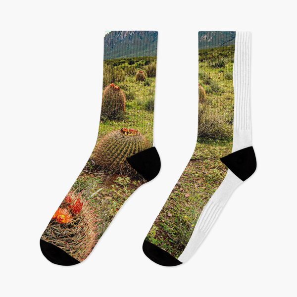 Item preview, Barrel Cactus Growing Along the Organ Mountains designed and sold by William E Lopez.