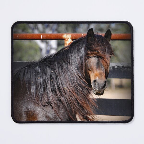 Item preview, AUSTRALIAN BRUMBY, HORSE PHOTOGRAPHY, BY BARBARA JEAN PHOTO ART AND DESIGN designed and sold by Barbara Jean Photo Art And Design.