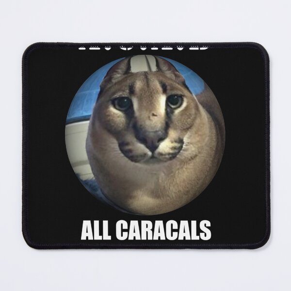 Item preview, All caracals are Ballin designed and sold by NathanASoto.