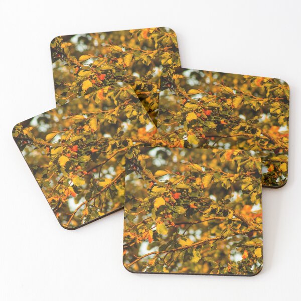 Item preview, autumn designed and sold by abphotography92.